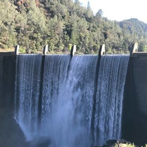 Meet your Posher, Spencer